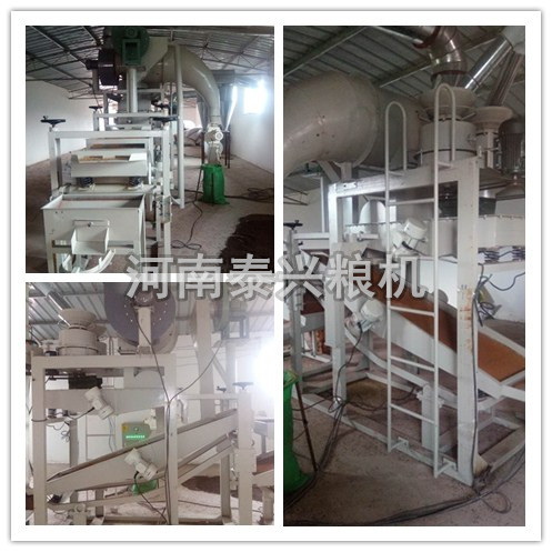 貴州畢節(jié)苦蕎茶加工設(shè)備安裝案例